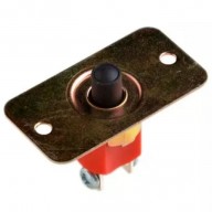 LLAVE ELÉCTRICA CS-391 1A NF/P1 208